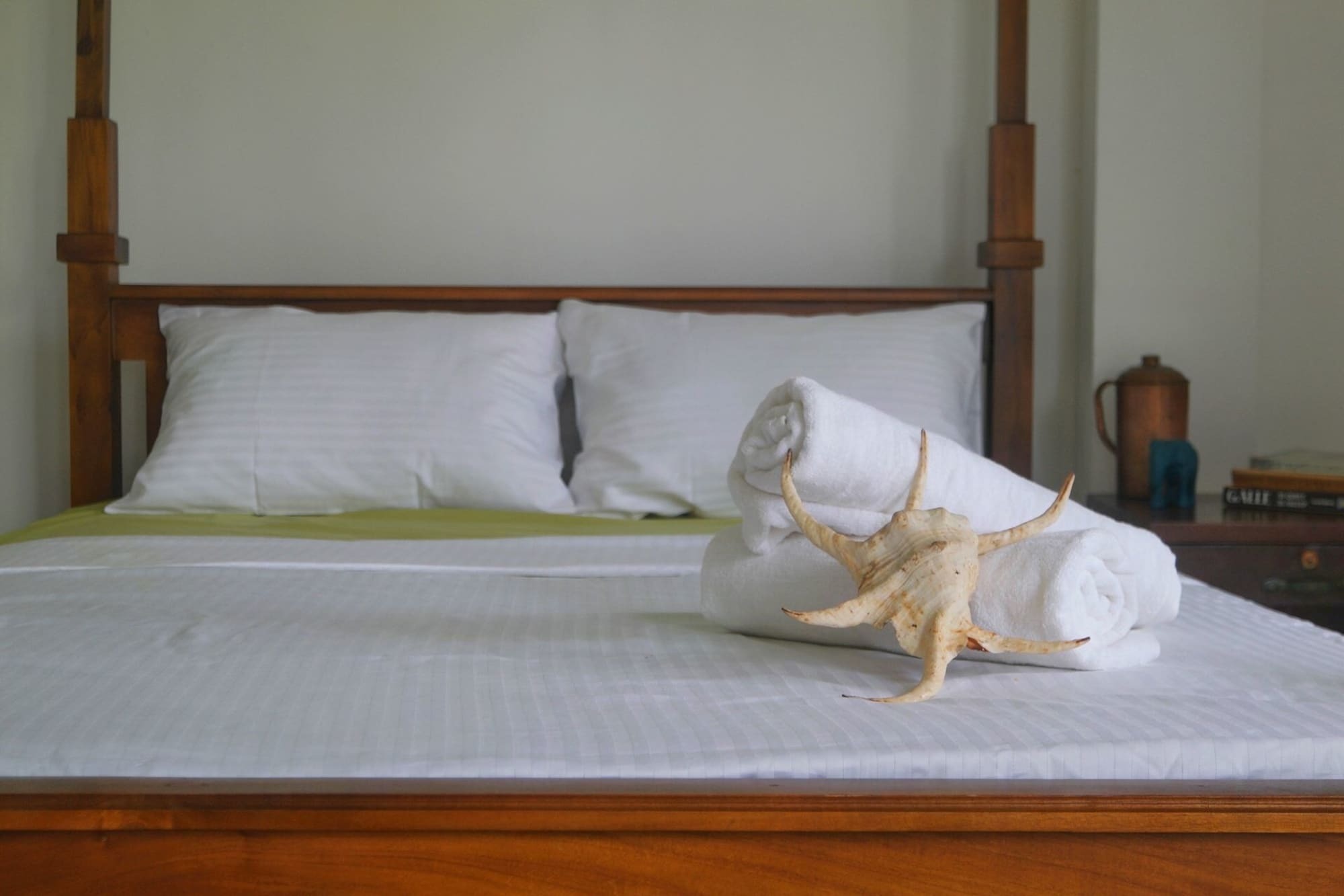Hotel Pitaya Weligama Esterno foto